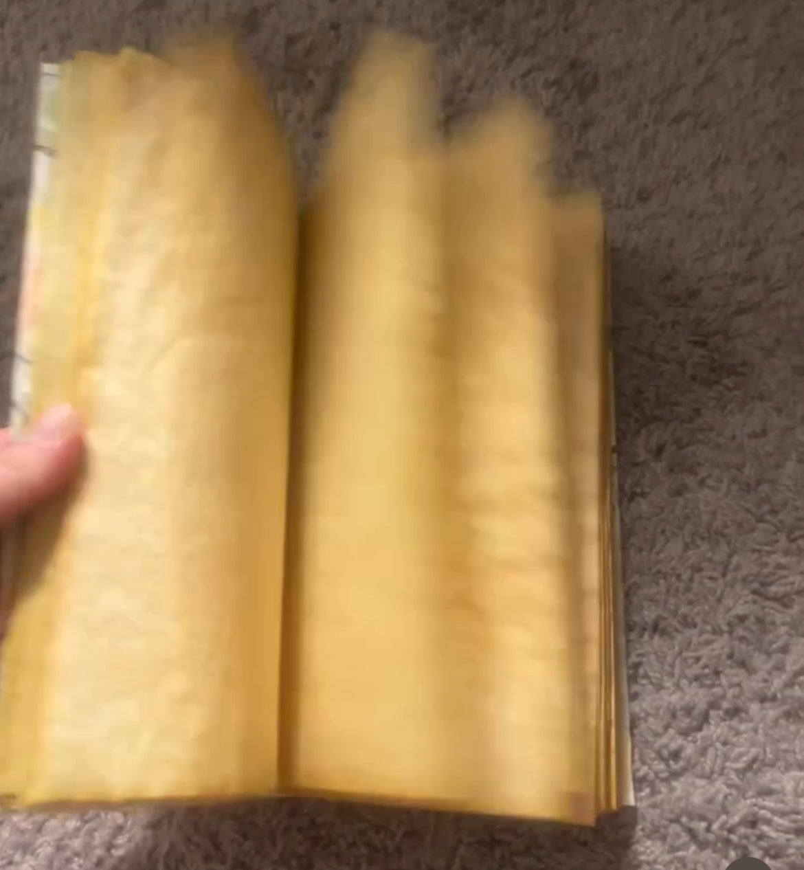 Blank SpellBook and Journals